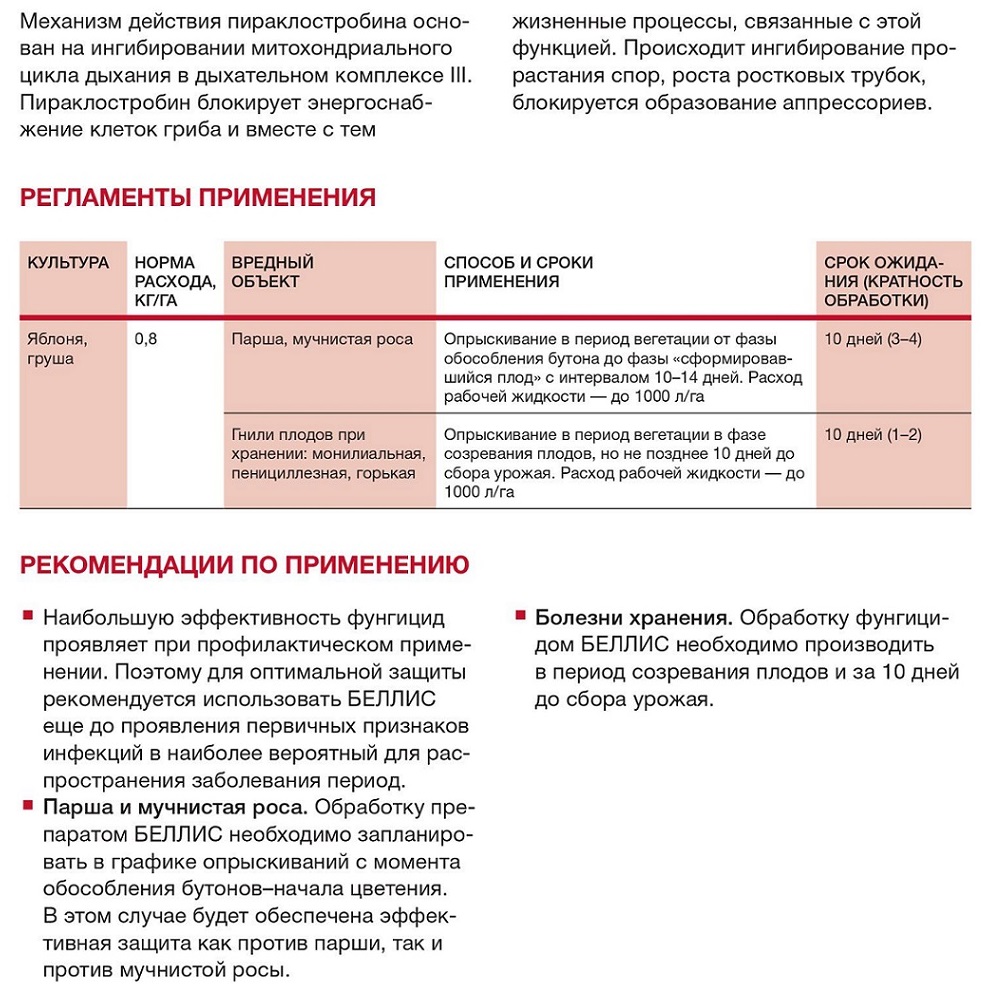 Купить Фунгицид Беллис 100 гр. в Волгограде c доставкой по России -  Средства защиты растений (фасовка) - Фунгициды (фасовка)